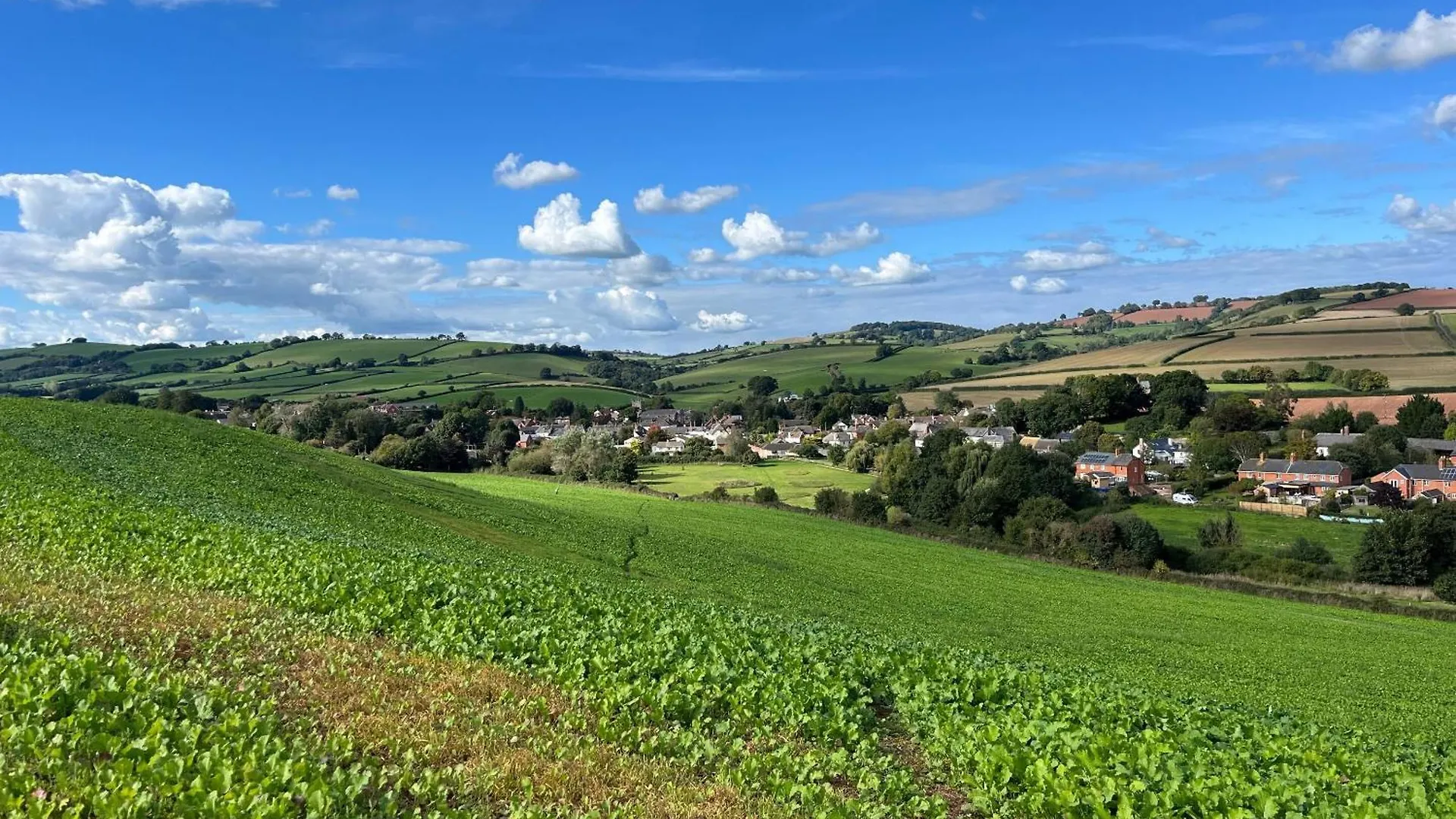 **** Inn Thorverton Arms United Kingdom